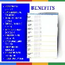 RankMate Designs (3).webp